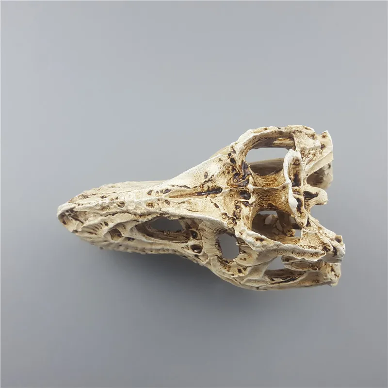 Estatuas artesanales de resina MRZOOT para decoración cráneo dinosaurio esqueleto modelo Animal Investigación Enseñanza para decoración creativa del hogar