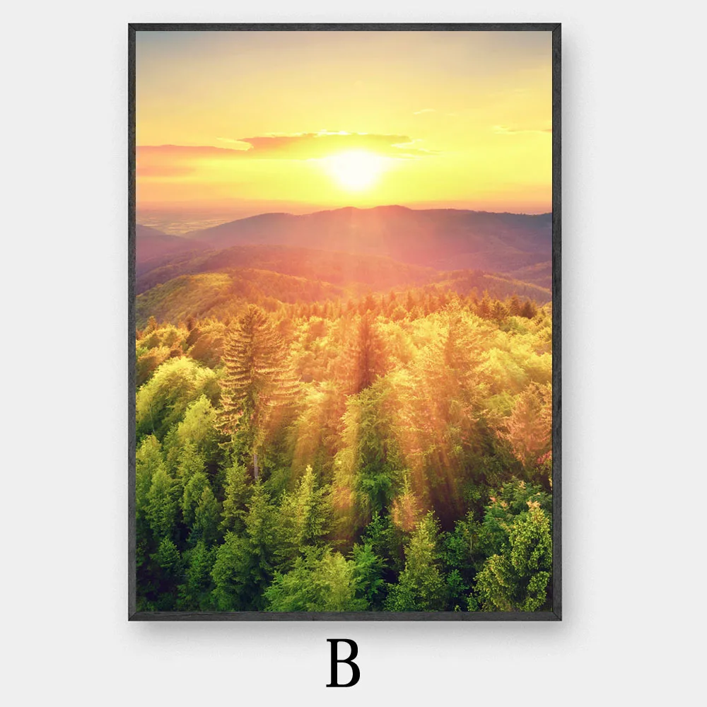 B