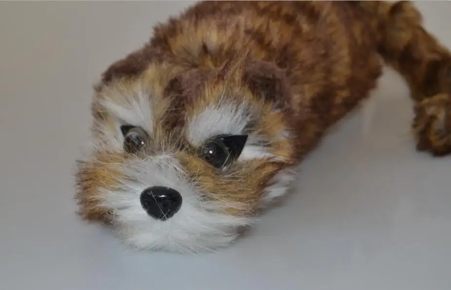 

The Rocky Raccoon Magic Robbie Magic Tricks Stage Magic Appear Spring Animal Magie Gimmick Accessories Props Toys For Children