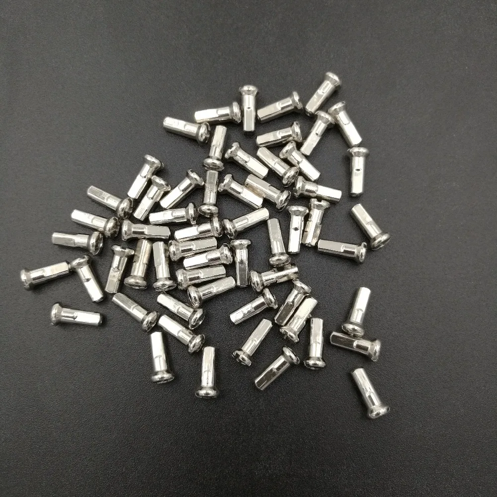 Alpina Spaken 13G (2,34mm) 280mm RVS (P36