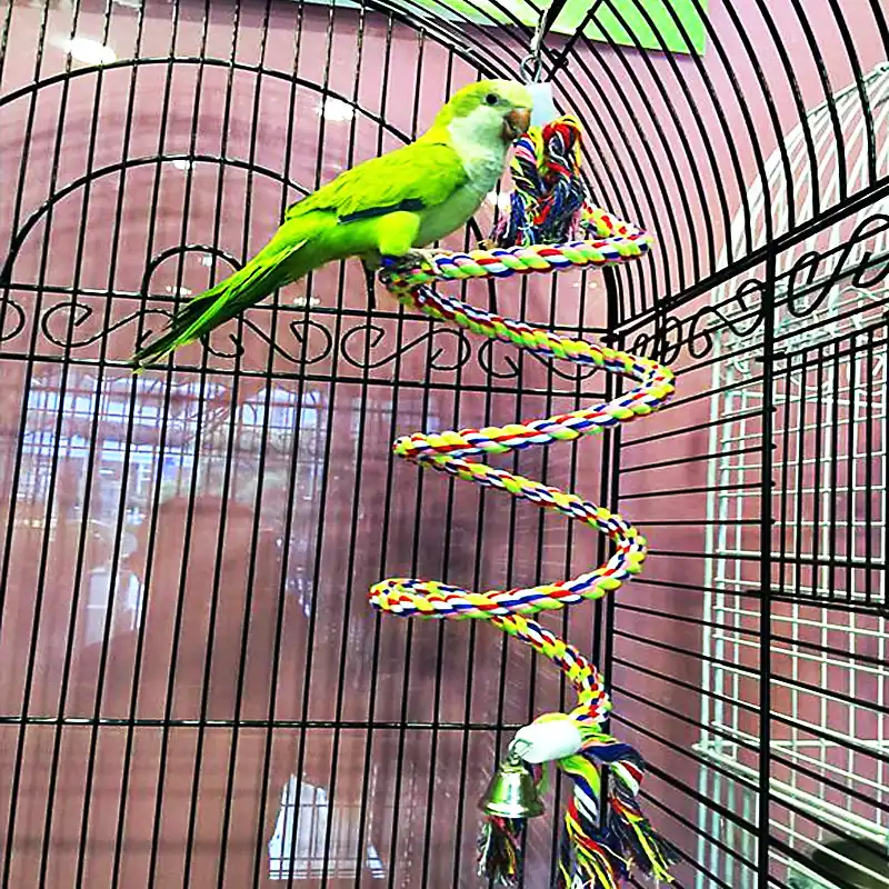 Wholesale Large Parrot Toys For Macaw 