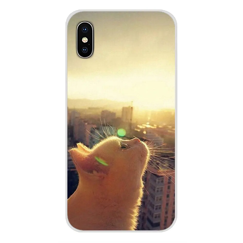 Аксессуары чехлы для телефонов милое платье с кошкой Huawei G7 G8 P7 P8 P9 P10 P20 P30 Lite Mini Pro P