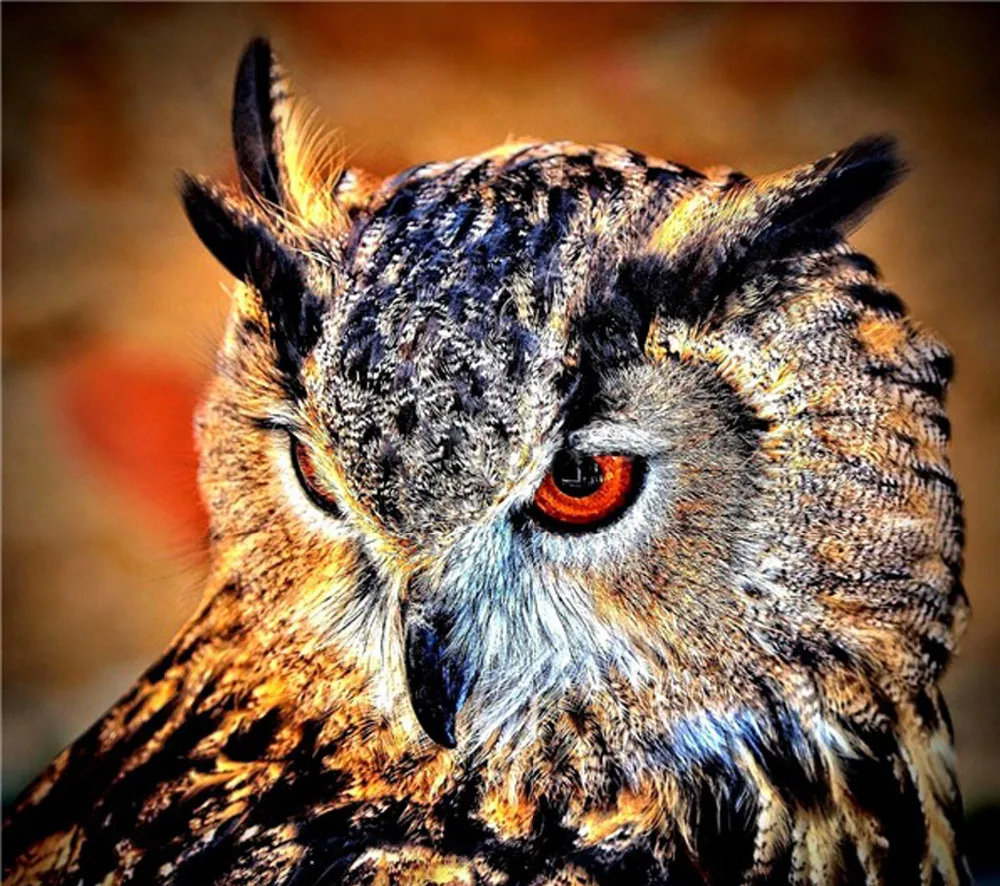 

Diamond Painting Owl Handicraft Needlework 3d Drill Mosaic DIY Diamond Embroidery Animal