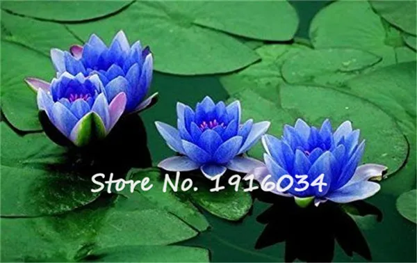 42e7a7a8b5c47b9b2dae44493767834a