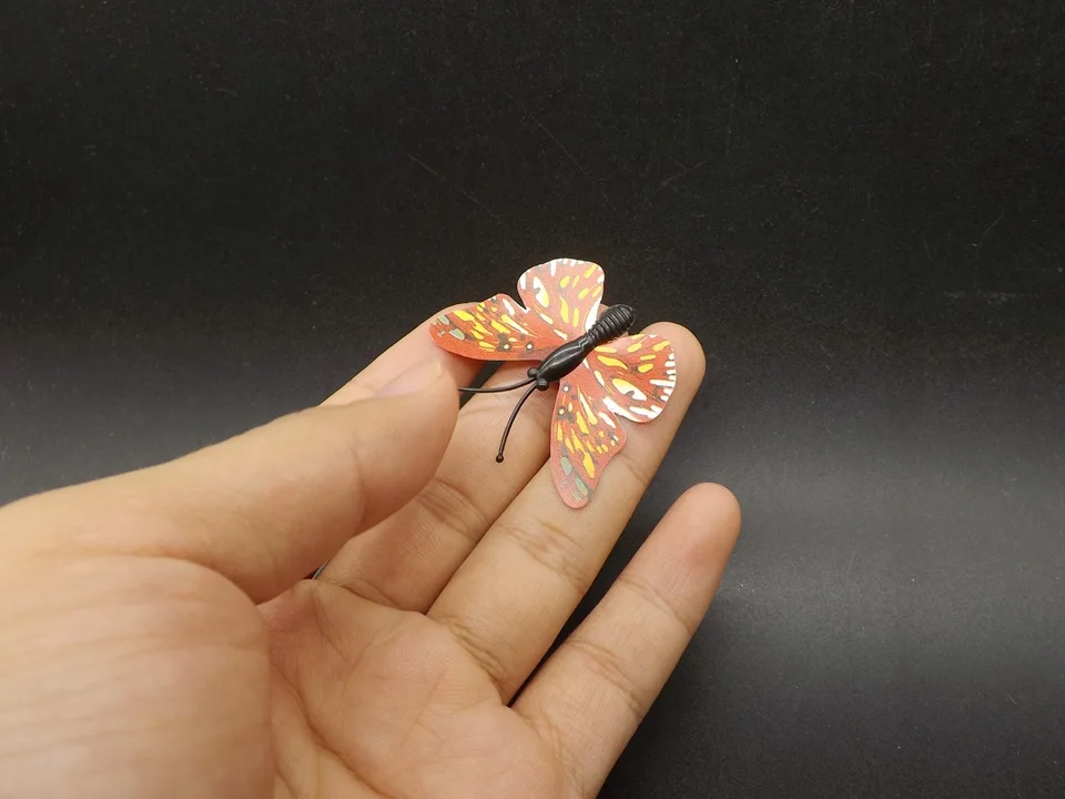 I255-Butterfly (2)