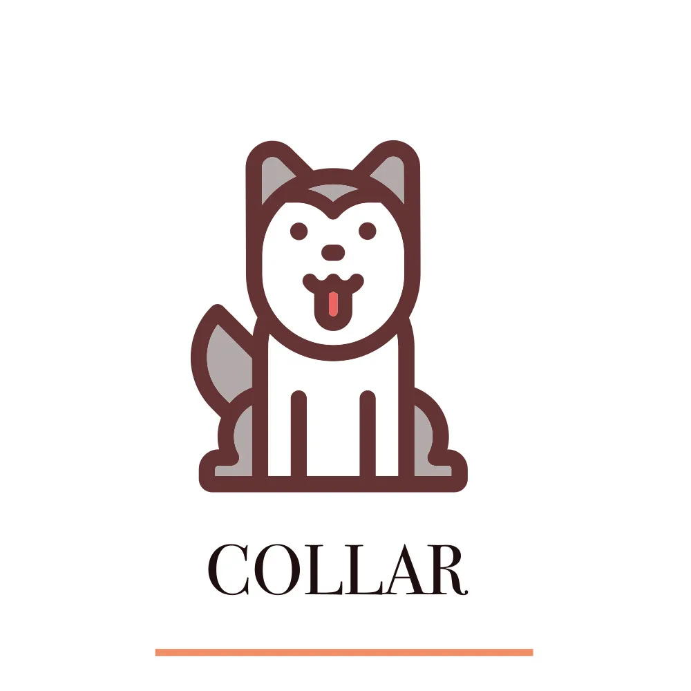 collar Изготовленный на заказ индивидуальный ошейник для собаки и галстук-бабочка - Цвет: collar