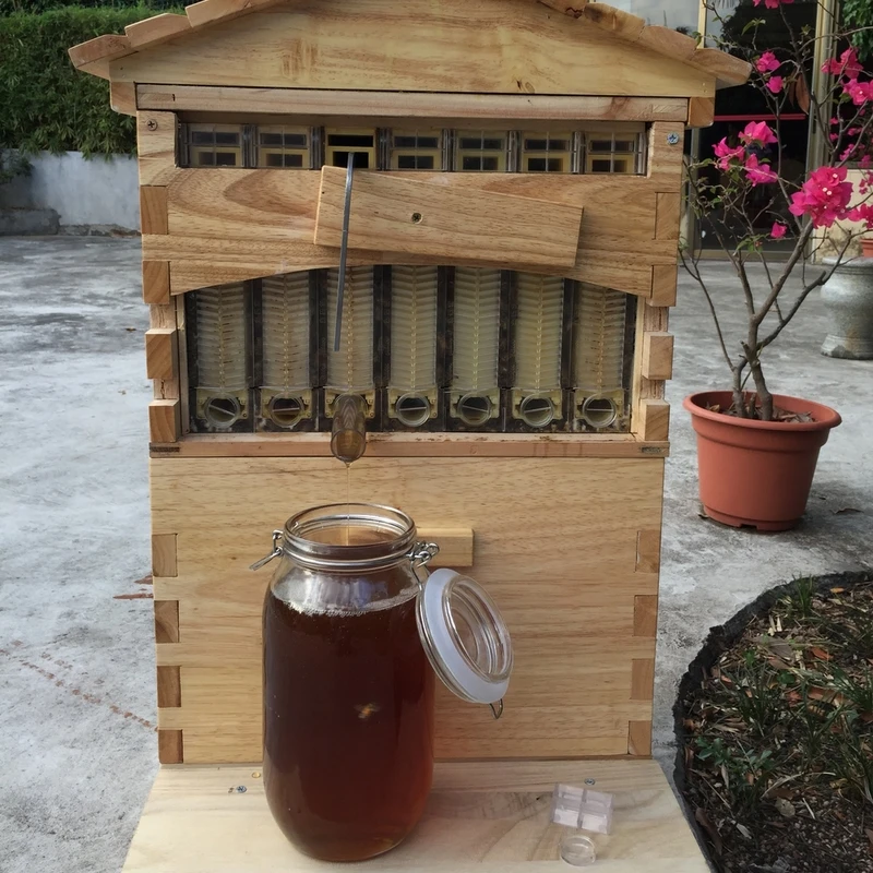 

Wooden Beehive Box With 7 Beehive Frames Beekeeping Tools Honey Self Flowing Beehive House Bee Hive Supplies Beekeeper Equipment