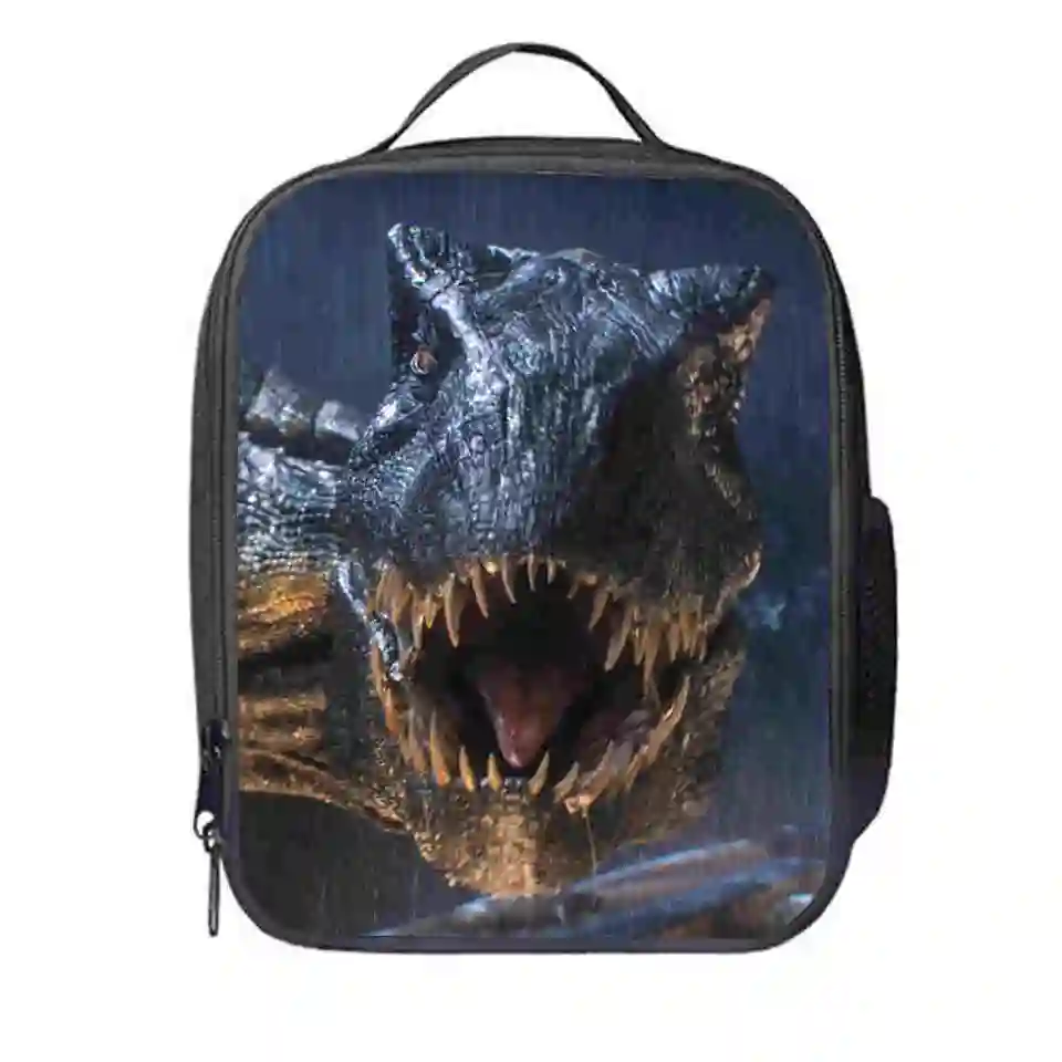 dinosaur lunch bag