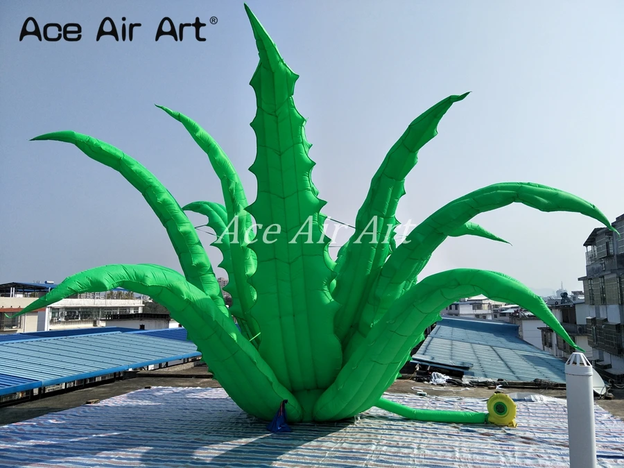 new design awesome 8 m diameters standing giant plants Inflatable grass aloe vera for event,party decoration new design awesome 8 m diameters standing giant plants Inflatable grass aloe vera for event,party decoration