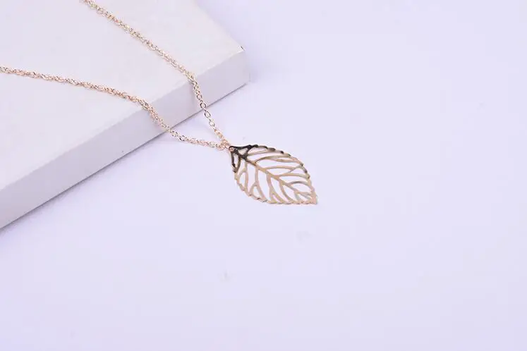 XL0281 5