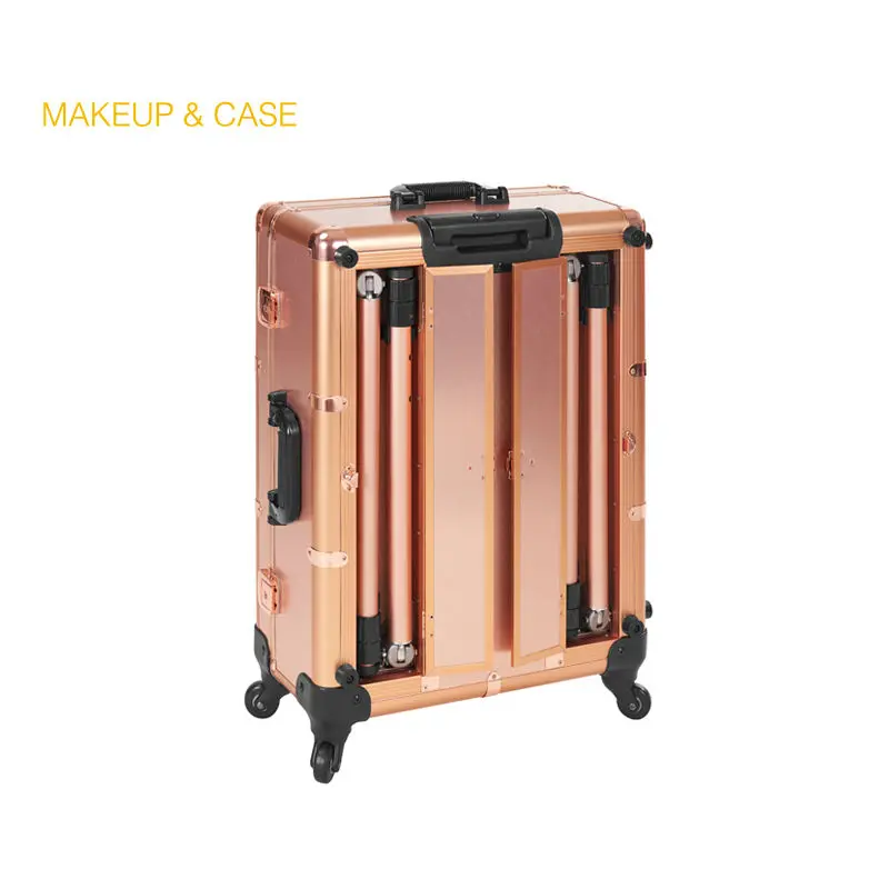 case (2)