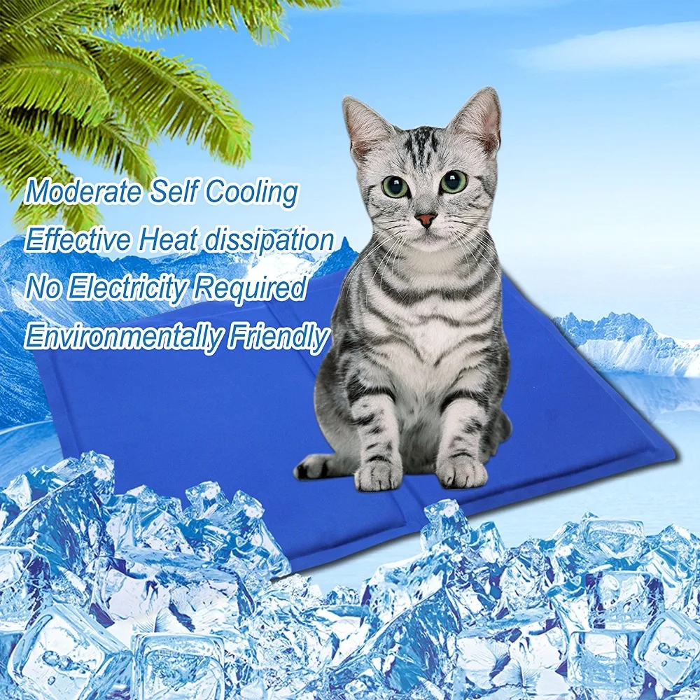 A1n6WvwtfRL._SL1500_