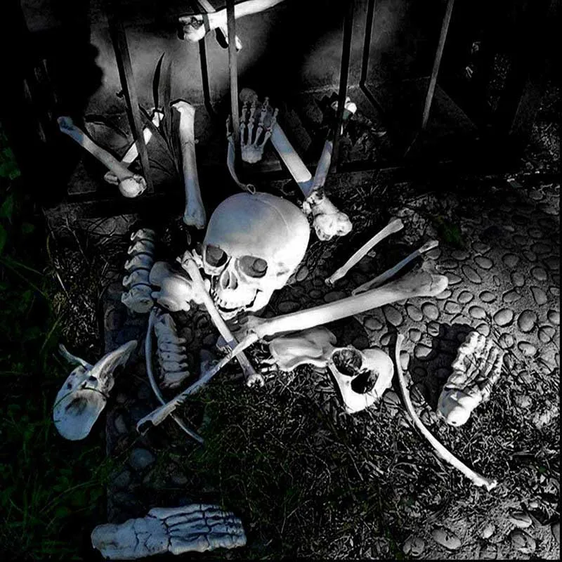 Cosplay&ware Halloween Decoration Bone Animals Skeleton Ornaments Batspiderdragonbird Bones Hallowmas Horror Party -Cosplayware Store