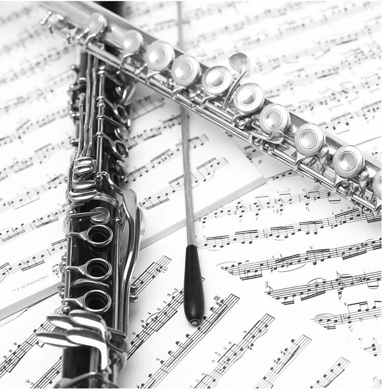 

Western Concert Flute Silver Plated 16 Holes C Key Cupronickel Musical Instrument with Cleaning Cloth Stick Gloves Open Hole