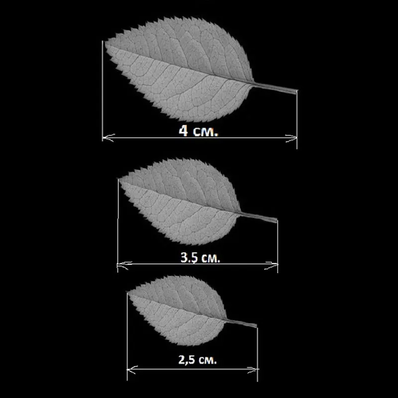 

3pcs Royal Leaves metal cuttting dies cut die scrapbooking paper craft knife mold blade punch stencil54*38mm