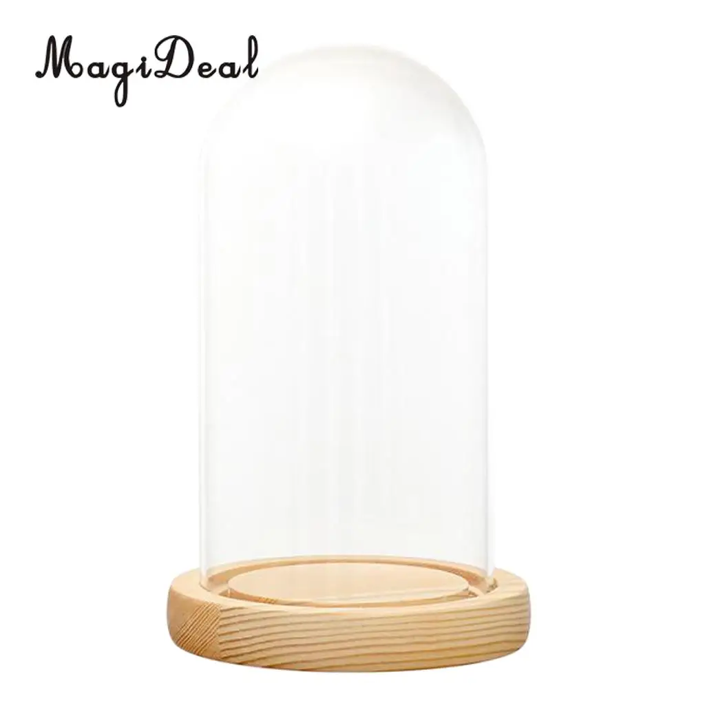 MagiDeal Clear Glass Display Dome with LED Wood Base Microlandscape Holder
