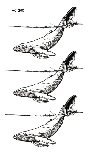 HC-260