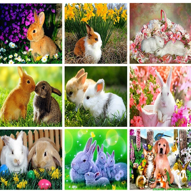 

Diamond Painting Flower Cross Stitch Cute Rabbit diamond embroidery sale diamond painting accessories rhinestones pictures