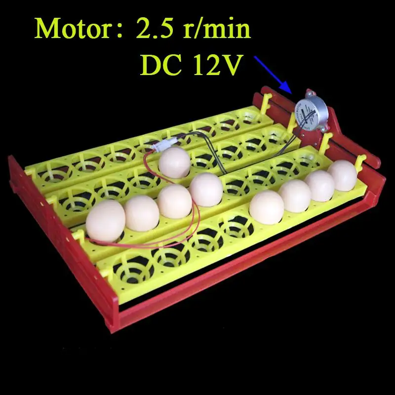 32 яйца поворот лоток автоматический инкубатор яйцо лоток курица утка яйца лоток 4*8 отверстий птицы инкубационное оборудование - Цвет: DC12V