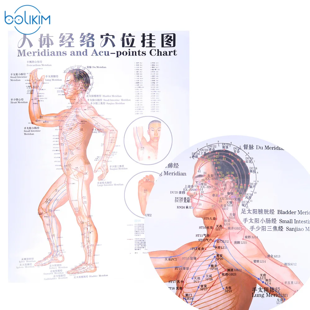 BOLIKIM 6Pcs English Hand&Foot&Ear&body Meridian points of human wall chart female /male acupuncture massage point map flipchart