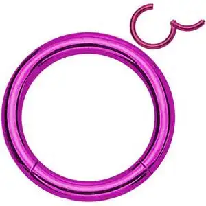 1 шт 16 г титановый пирсинг носа кольца перегородки шарнирные сегментные кольца для сосков, губ кольца хряща уха серьги ювелирные изделия - Окраска металла: Purple