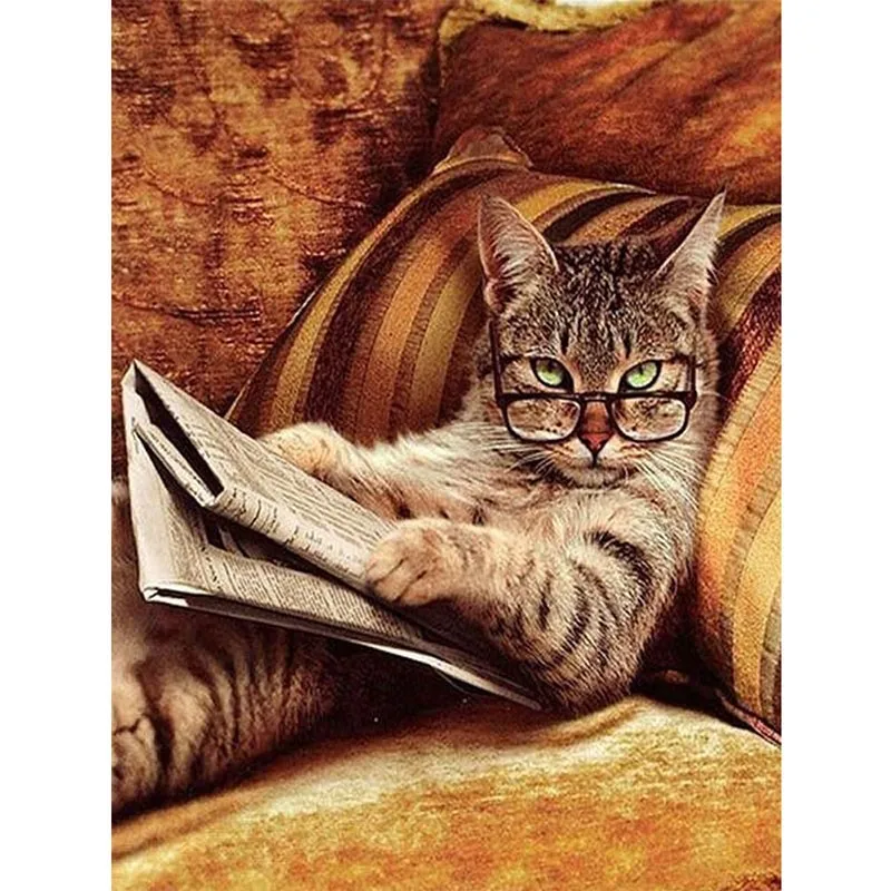 Glasses Cat Lying On The Sofa Read Newspaper JS1033