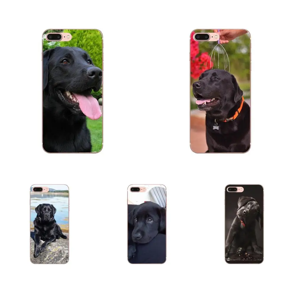 

Puppy Labrador Retriever Dog For Galaxy J1 J2 J3 J330 J4 J5 J6 J7 J730 J8 2015 2016 2017 2018 mini Pro Soft Phone Coque