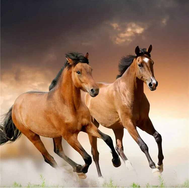 Two Running Horse Wall Decor 5D Full Diamond Painting DIY Stone