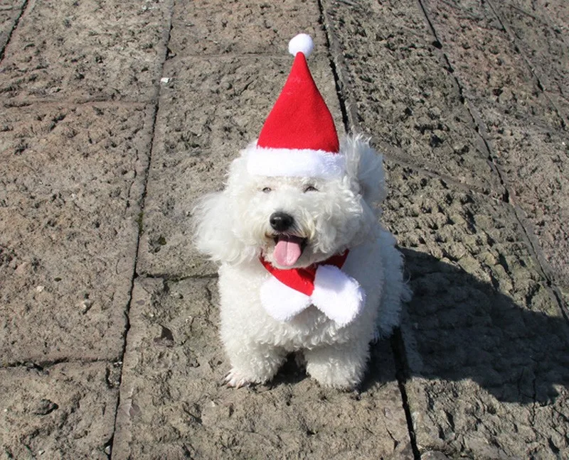 1 комплект милый красный Кот Собака Рождественский шарф Набор крышек теплый орнамент украшение для Косплей вечерние праздники