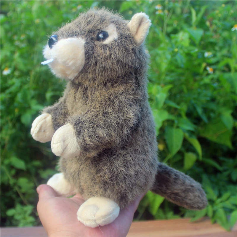 kawaii simulation animal groundhog plush doll mini soft quality groundhogs toy for baby gift 20cm DY50189 (8)