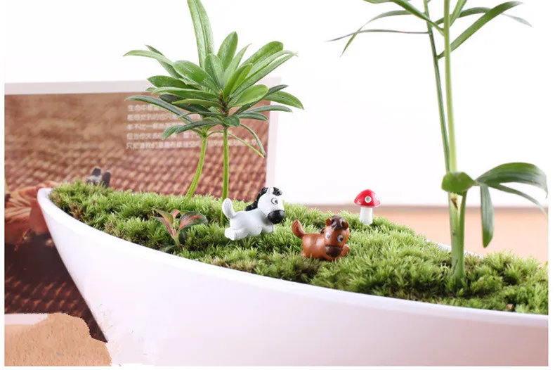 1482028916_1198909629