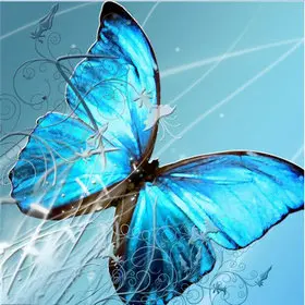 Animal-Needlework-5D-Diy-Diamond-Painting-Cross-Stitch-Butterfly-Painting-Diamond-Embroidery-Full-Square-Diamond-Mosaic.jpg_640x640 (6)_