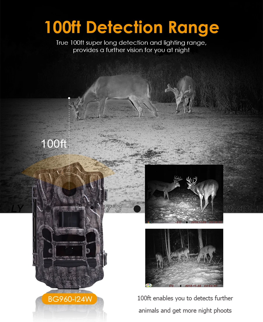 BG960-124W-100ft