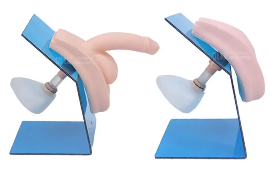 

Male/female Operation Training Teaching Model Catheter Model Catheterization