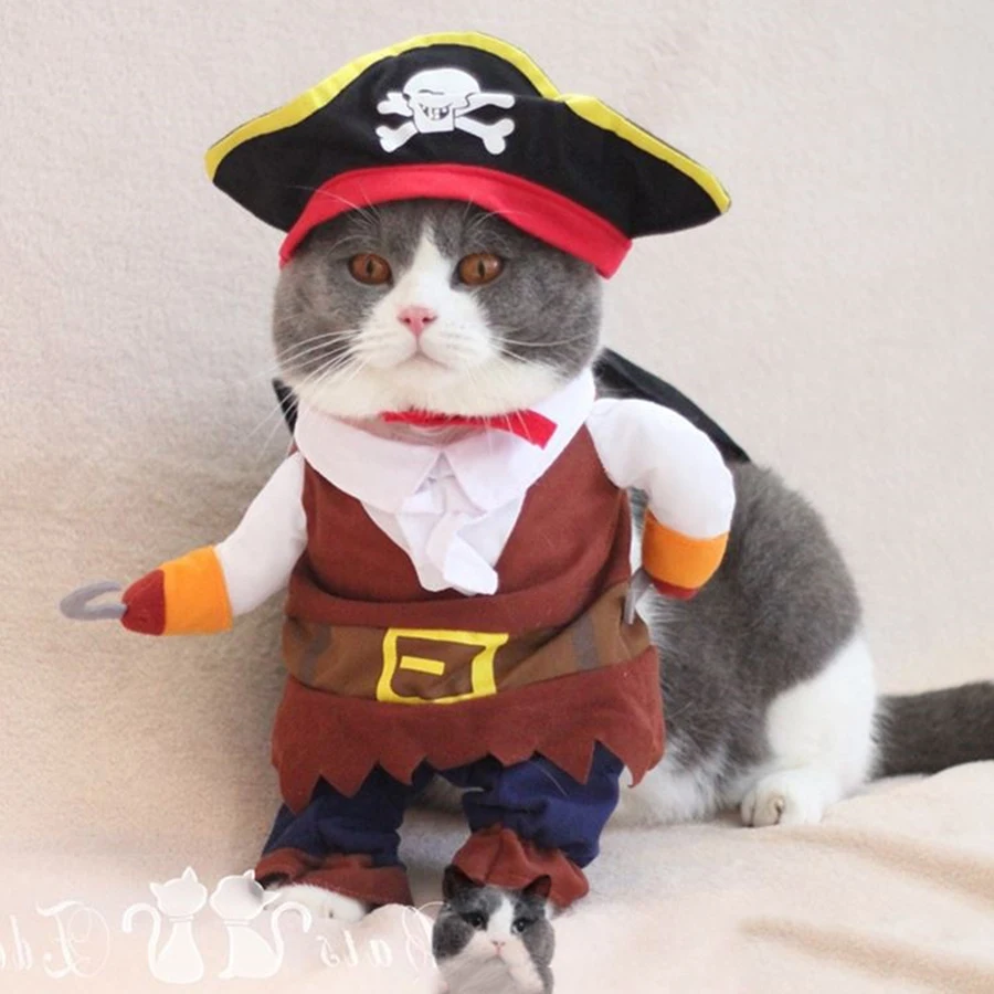 Pet Clothes Cat Funny Cat Costume Cat Dress Clothing Cat Lion Mane ...