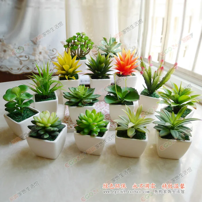 Small Plants For Desk House Beautiful Small Plants For Desk House Beautiful