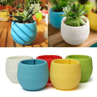 Mini round Shaped Plastic Office Decor Succulents Flower Seed Planter Pot