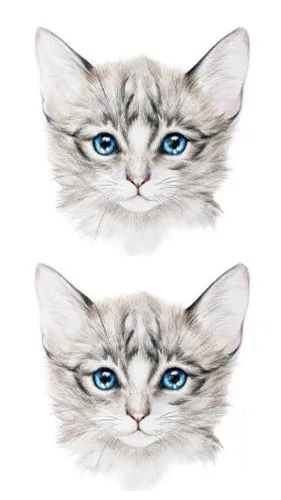 

Waterproof Temporary Fake Tattoo Stickers Grey Cat Cartoon Cute Design Body Art Make Up Tools