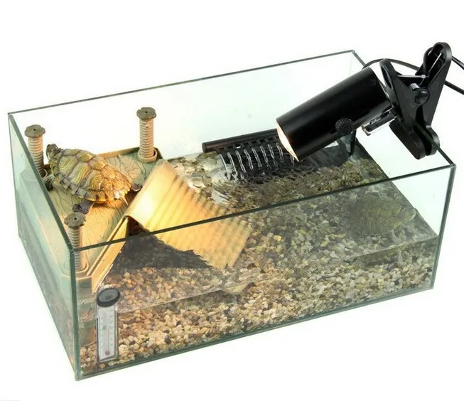 Sunning Heat Lamp 25~75 Watt Bulb, emits a broad-spectrum light, Provided A Basking Lamp Reptiles, Amphibians, And other Animals8