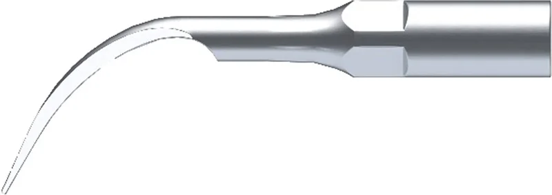 P1 (2)