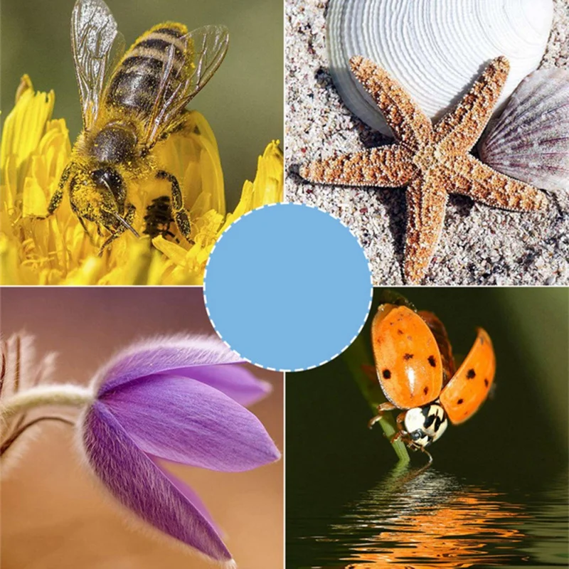 AQ0026_O10