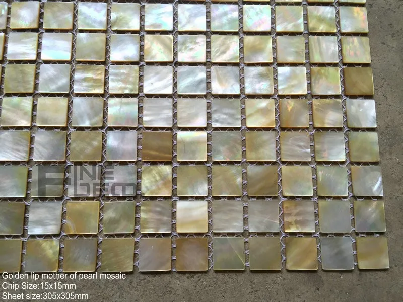 FD8002 golden lip mosaic 4
