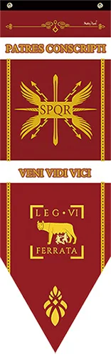 New Caesar Rome empire SPQR Infantry Legions War Banner Home Decor Flag Bar Family decoration Flags S-L cosplay game show props - Цвет: viFERRATA