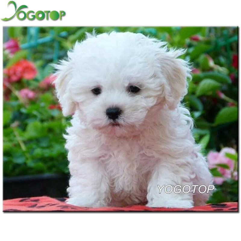 

YOGOTOP DIY Diamond Painting Cross Stitch maltese dog Decor Full Square Rhinestone Mosaic 5D Drill Embroidery animal pet QA355
