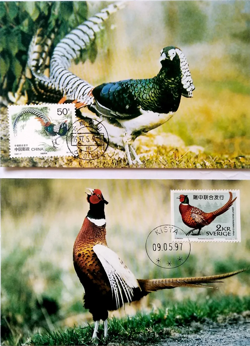 

2 PCS Set Rare Birds ( Jointly Issued By China And Sweden ) 1997-7 Maximum Cards China Post Stamps Postage Collection