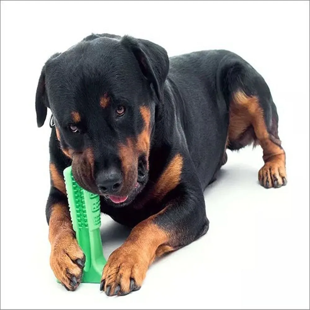 

Dog Toys Tooth Brush Bite-Resistant Bone Pet Dog Chew Toys Remove Bad Breath Cleaning Tooth Small Large Dog Supplies Health Toys