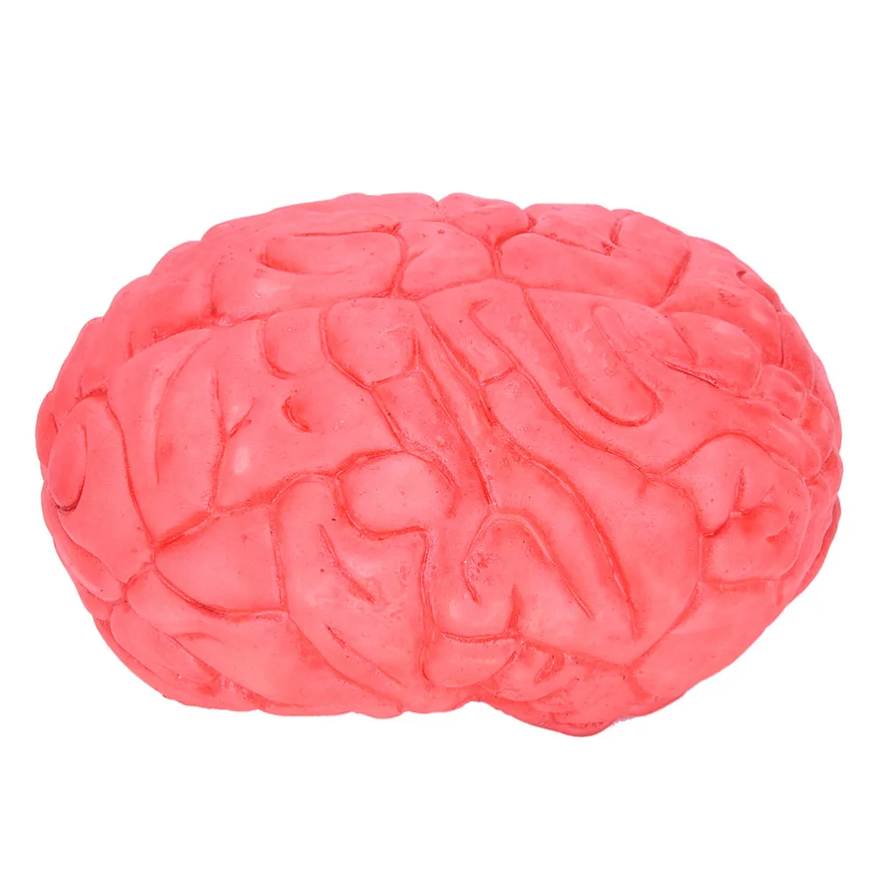 

Practical Halloween Decoration And Prop Rubber Horror Fake Scary Human Brain Haunted House Organ Body Part Jokes Gag Toys