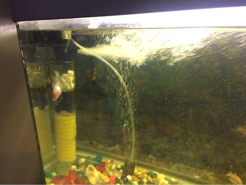 UT8YBTLXRdXXXagOFbX7_