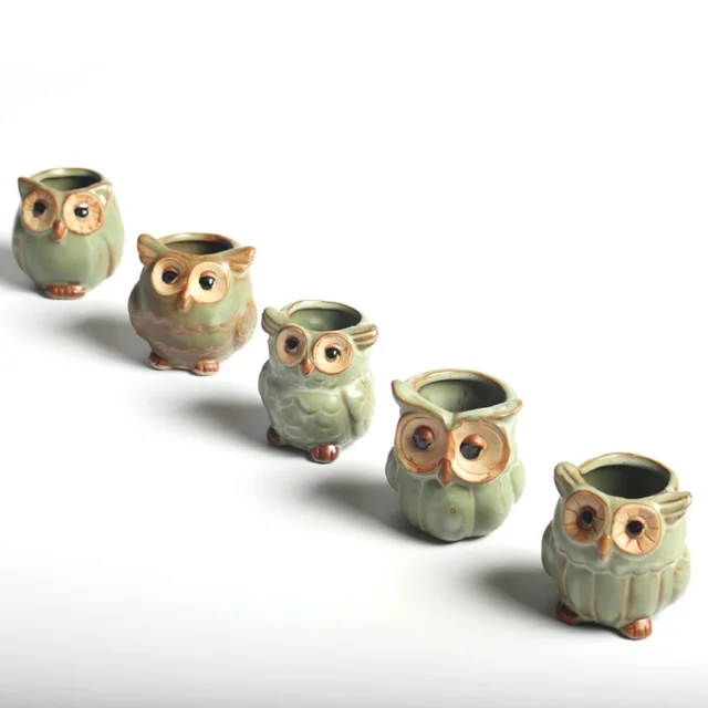 5 pz/lotto Creativo Figura Del Gufo di Ceramica Vasi di Fiori per Carnosa Pianta 5 pz/lotto Creativo Figura Del Gufo di Ceramica Vasi di Fiori per Carnosa Pianta
