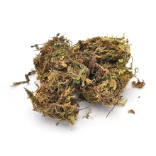 10 г/пакет, искусственные, сохраняющие сухость, мох, декоративная ваза для растений, дерн, Шелковый цветок, аксессуары для украшения цветочного горшка